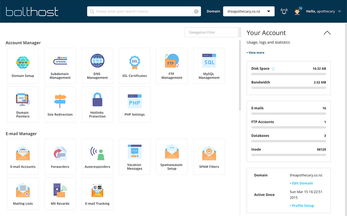 Screenshot of Direct Admin control panel dashboard